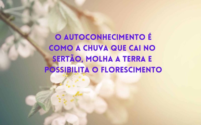 A Ignorância e a Busca pelo Sentido: Navegando Rumo à Harmonia